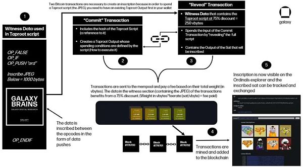 万字报告详解比特币 NFT 及其前景-第5张图片-芝麻交易所下载